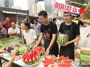朝阳免费吃瓜网,揭秘都市生活趣味圈,畅享免费美食盛宴 第2张 朝阳免费吃瓜网,揭秘都市生活趣味圈,畅享免费美食盛宴 第2张