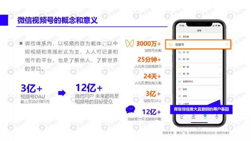 过年网友爆料视频下载安装,过年视频下载安装全过程揭秘 第3张 过年网友爆料视频下载安装,过年视频下载安装全过程揭秘 第3张