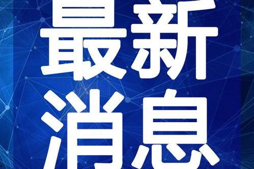 最新刘大锤爆料新闻视频,揭秘事件背后惊人真相